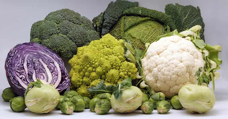 Cruciferous Vegetables, loose weight