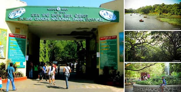 Sanjay Gandhi National Park, Mumbai