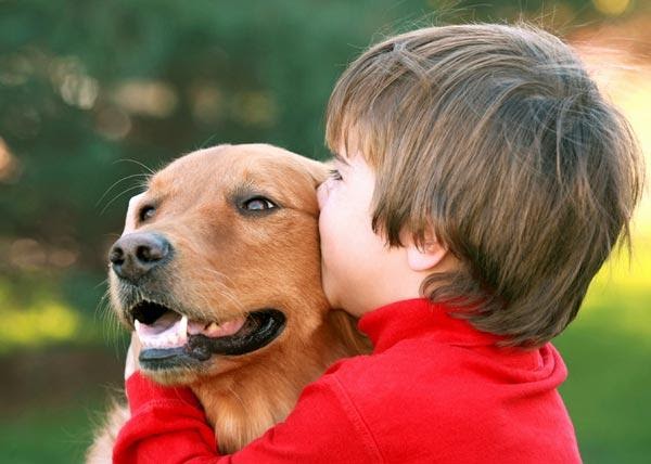 Benefits Of Animals To Humanity - Find Top 10